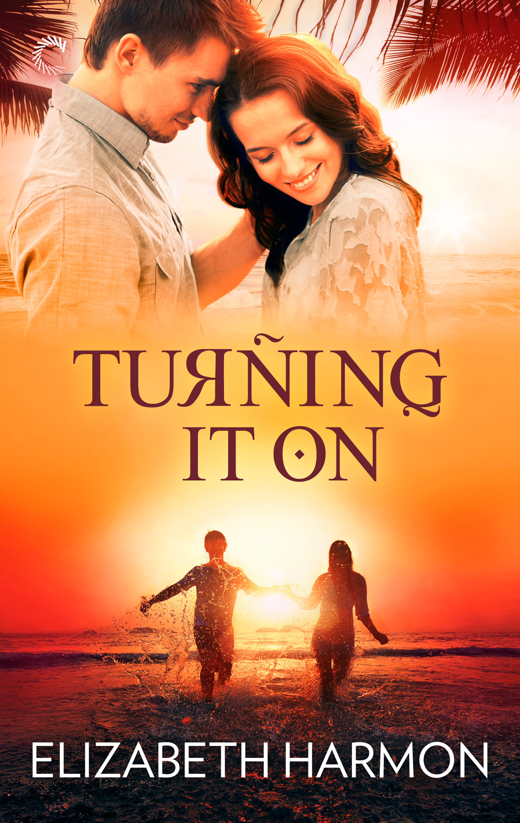 Book Tour, Excerpt, Review & Giveaway: Turning It On by Elizabeth Harmon – Books ...1675 x 2650